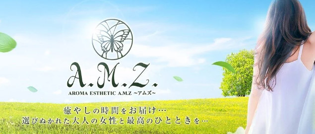 A.M.Z アムズ